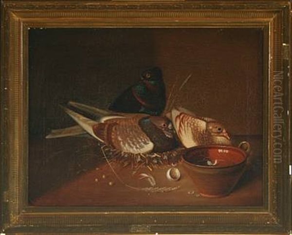 Still Life With Nesting Pigeons Oil Painting by Nicolai Peters Herm. Sohn
