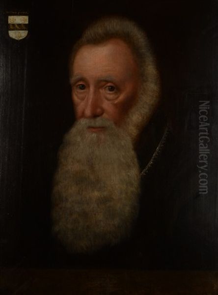Portrait Of A Bearded Gentleman Oil Painting by Paul Ii Van Somer
