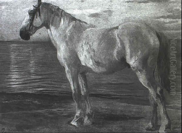 Machtiger Schimmel Am Meeresstrand In Der Untergehenden     Abendsonne Oil Painting by Christian Speyer