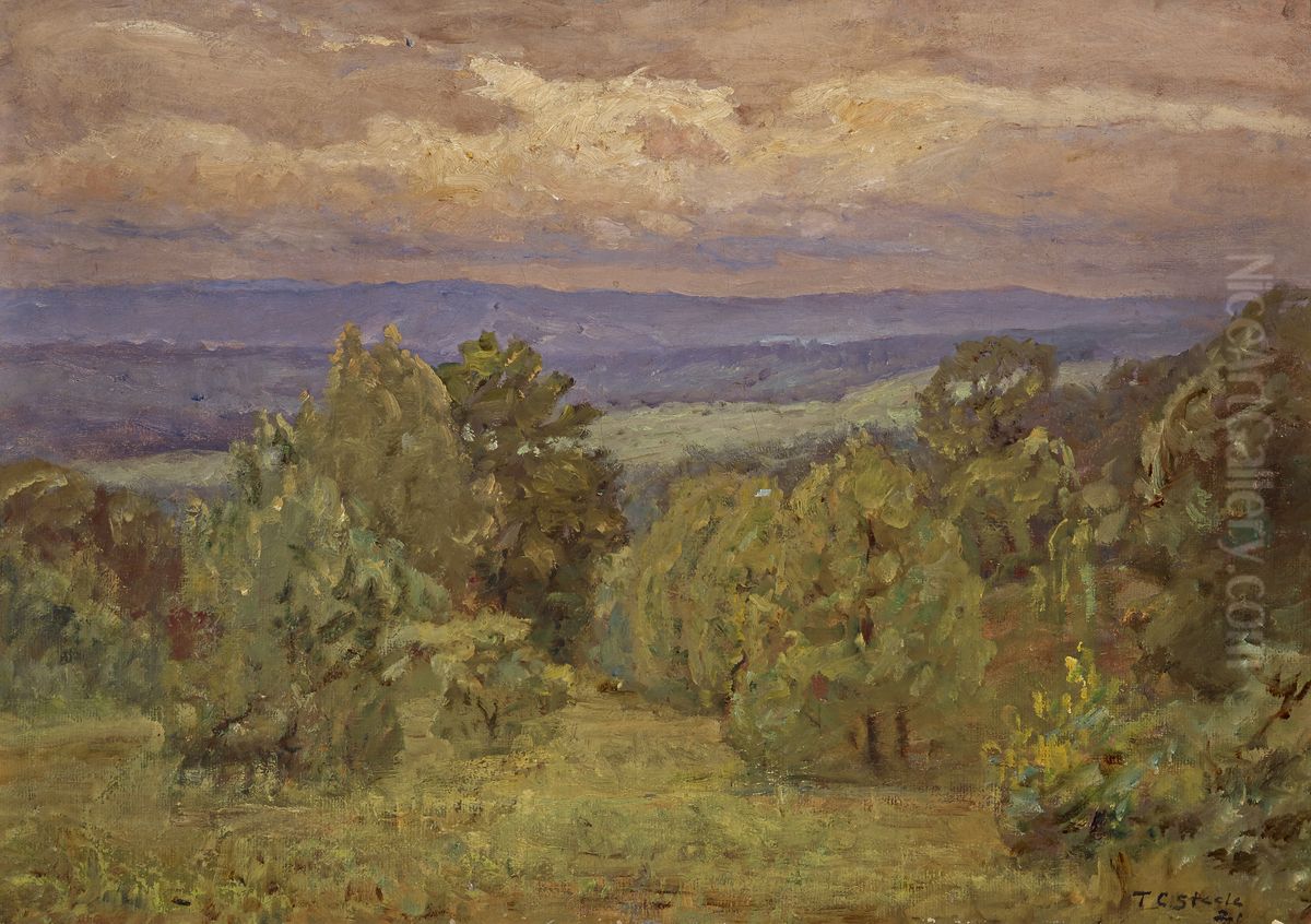 Storm Clouds Oil Painting by Theodore Clement Steele