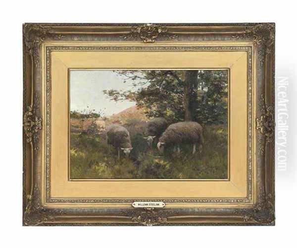 Sheep Grazing Under A Tree Oil Painting by Willem II Steelink
