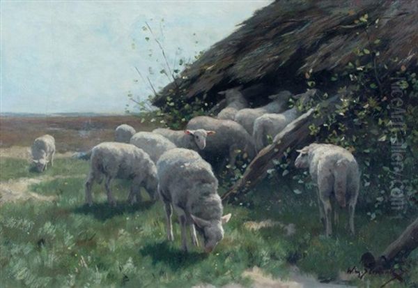 Lambs Near Fold Oil Painting by Willem II Steelink