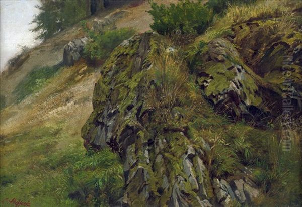 Harzlandschaft Mit Bemoosten Felsen Oil Painting by Carl Steffeck