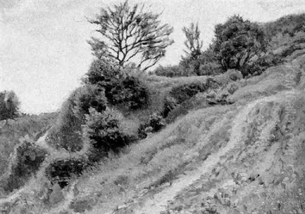 Berweg In Der Wachau Oil Painting by Eduard Stella