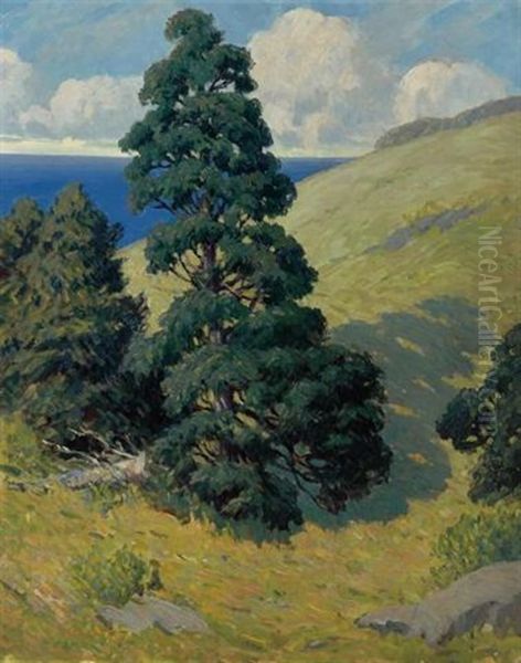 Monhegan, Pine #1 Oil Painting by George J. Stengel