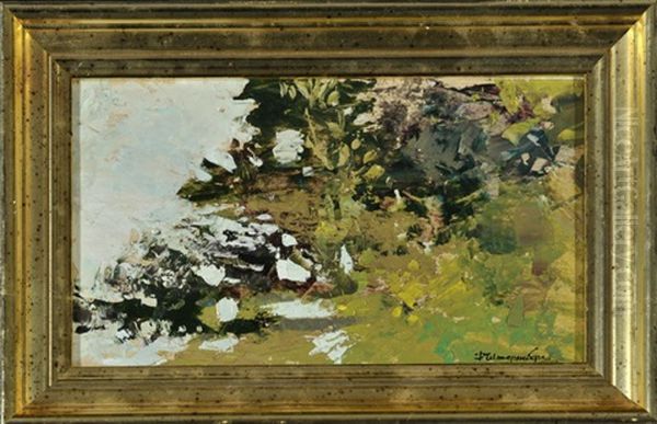 Naturstudie Oil Painting by David Petrovich Sterenberg