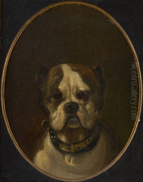 Portrait De Chien Oil Painting by Joseph Stevens