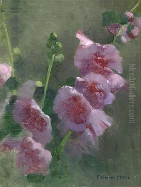 Study Of Hollyhocks Oil Painting by Marianne Stokes