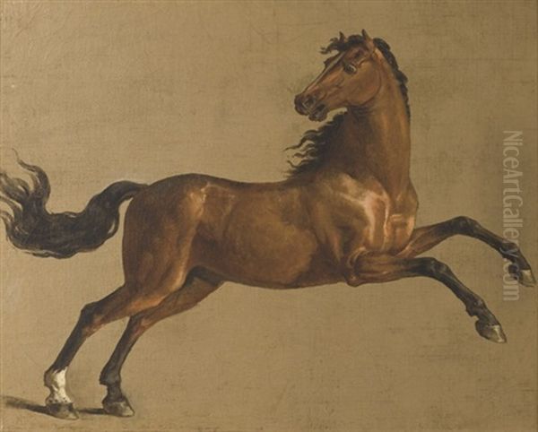 Un Etalon Bai Oil Painting by George Townley Stubbs