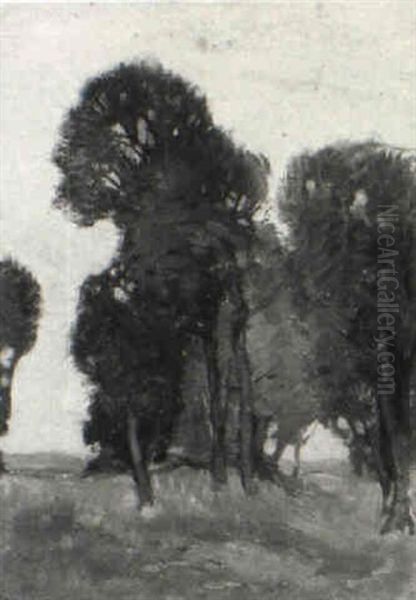 Sun Through The Trees Oil Painting by Alick Riddel Sturrock