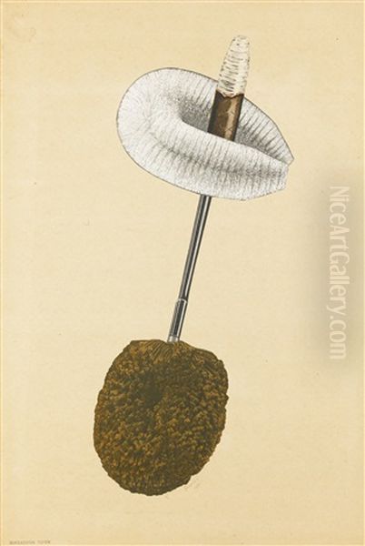 Untitled (from The Portable Cabinet) (stehovaci Kabinet) Oil Painting by Jindrich Styrsky