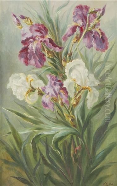 Untitled Oil Painting by Fanny Sundblad