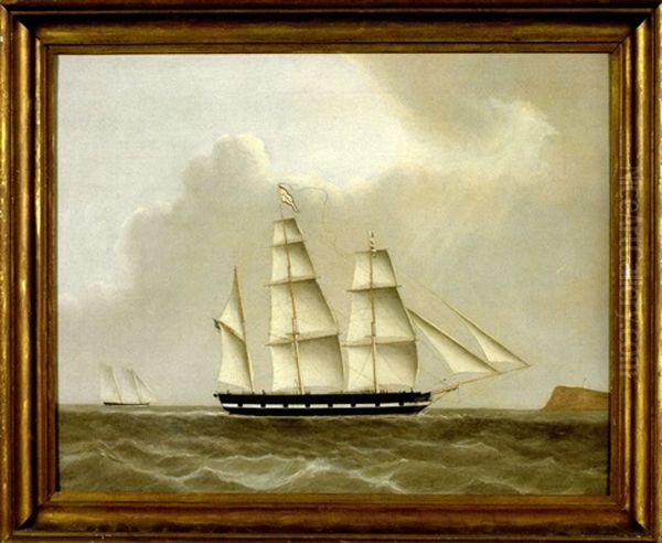 The American Bark 'carib' Oil Painting by Sunqua