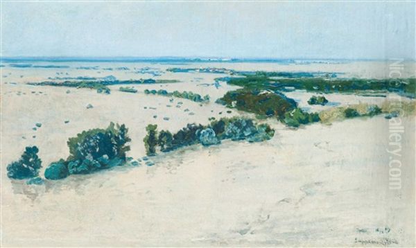 Flood In Marchfeld Oil Painting by Max Suppantschitsch