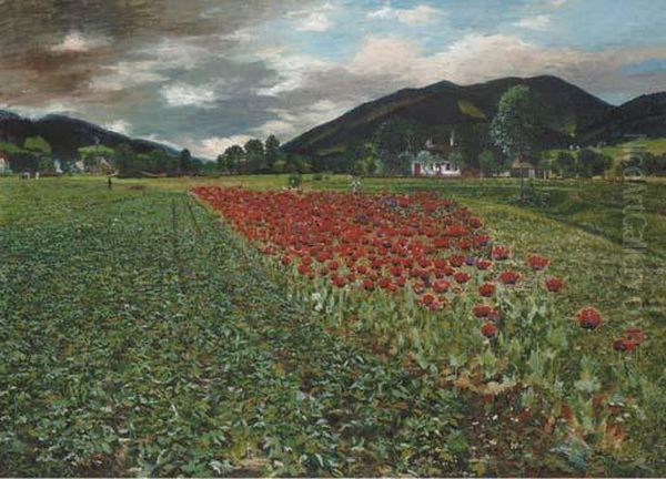 The Poppy Field Oil Painting by Wilhelm Braun