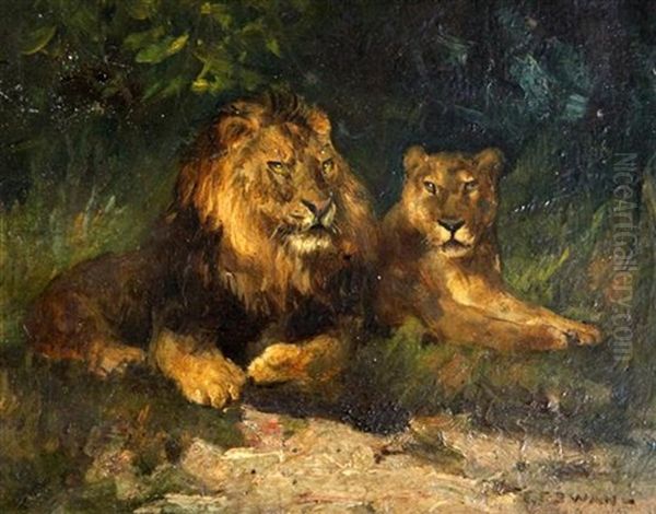 Studies Of Lions And A Tiger (a Pair) Oil Painting by Cuthbert Edmund Swan