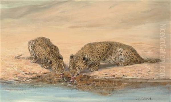 African Leopards Oil Painting by Cuthbert Edmund Swan