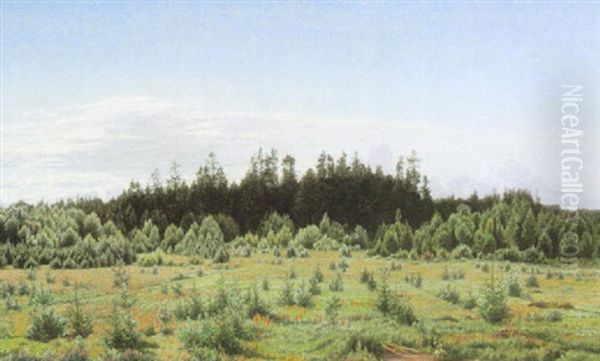 Blick Auf Besonnte Sommerliche Schonung Mit Waldhintergrund Oil Painting by Anton Thiele