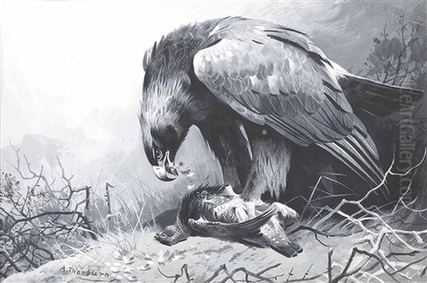 Golden Eagle And Grouse Oil Painting by Archibald Thorburn