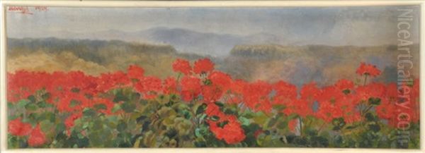 Geranien Vor Weiter Hugellandschaft Oil Painting by (Princess) Margareta von Thurn und Taxis