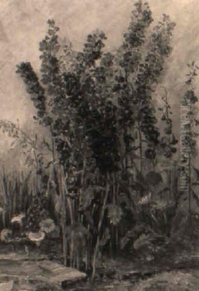 Bluhender Rittersporn Auf Freiem Feld Oil Painting by (Princess) Margareta von Thurn und Taxis