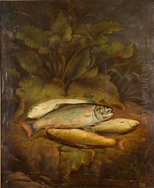 Brook Trout On The Bank Oil Painting by Charles Tice