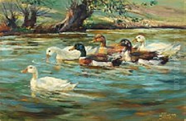 Ducks In A Lake Oil Painting by Willy Tiedjen