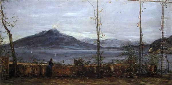 Le Vesuve Vu De Sorrento Oil Painting by Simon Alexandre Toudouze