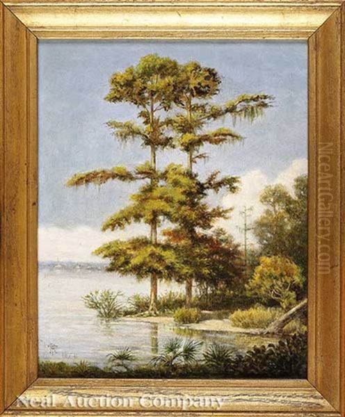 Batture Cypress Trees (algiers, Louisiana?) Oil Painting by Philippe Regis de Trobriand