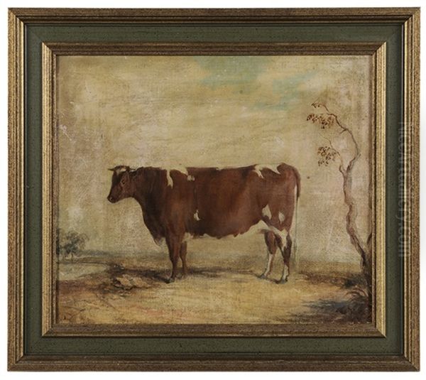 Ruby Oil Painting by Edward Troye