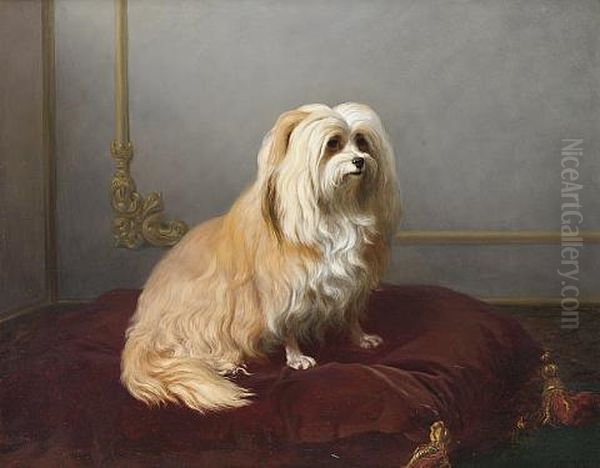 A Toy Dog Seated On A Red Cushion Oil Painting by Edmond Jean Baptiste Tschaggeny