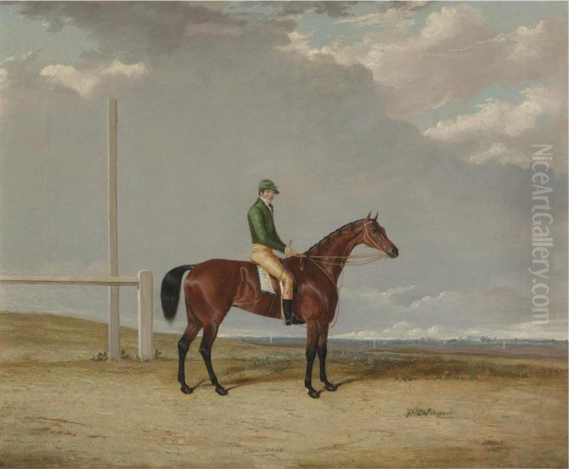 A Bay Racehorse Oil Painting by Thomas W. Bretland