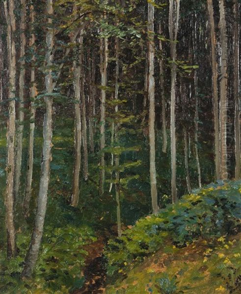 Im Waldesinnern Oil Painting by Rudolf Vejrych