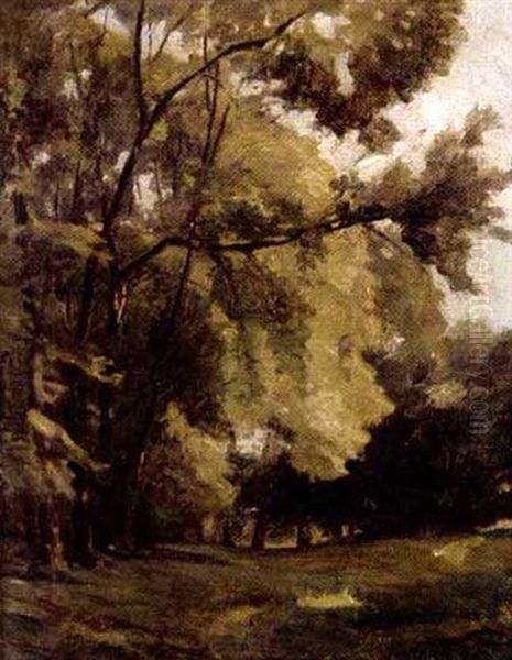 Paysage Arbore Oil Painting by Raymond Jean Verdun