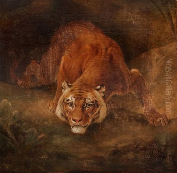 Tigre Oil Painting by Charles Verlat