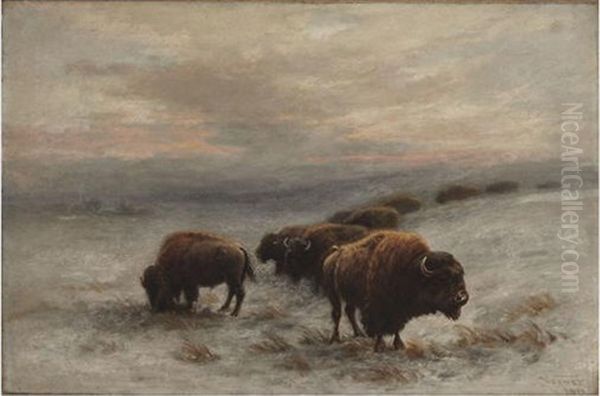 Bison Foraging In Winter Oil Painting by Frederick Arthur Verner