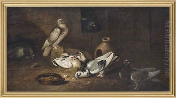 Pigeons In An Interior Oil Painting by Giacomo (Jacobus) Victors