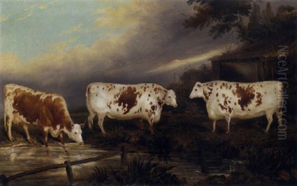 Holderness Cattle In A Landscape Oil Painting by John Vine