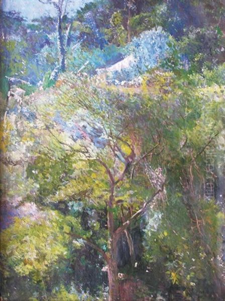 Paysage Boise Oil Painting by Eliseu Visconti