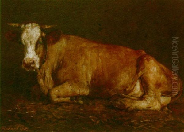 A Cow In A Stable Oil Painting by Richard Voltz