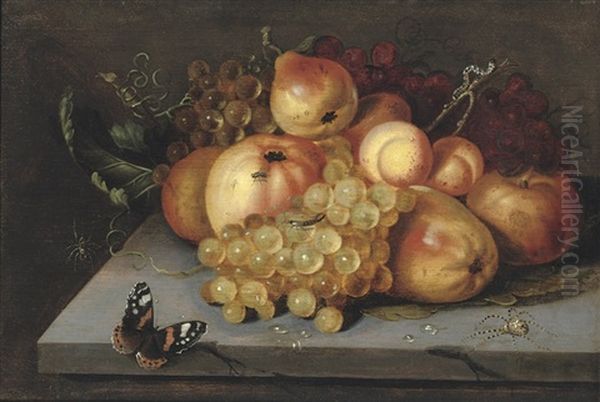 Apples, Grapes, Pears And Apricots On A Stone Ledge With A Butterfly, And Spiders Nearby Oil Painting by Jacob Woutersz Vosmaer