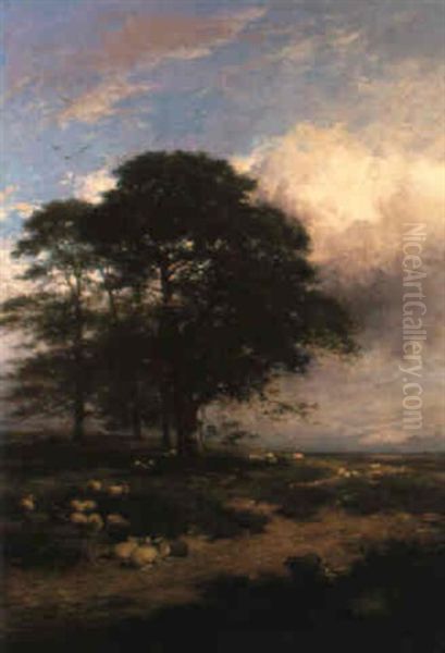 Landscape With Sheep Grazing Oil Painting by Thomas Francis Wainewright
