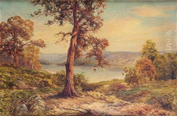 Woodlands Scene Oil Painting by Ernest Walbourn