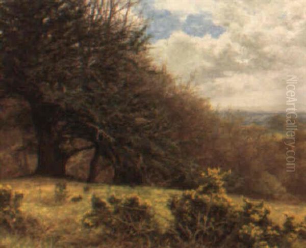 On The Poole Road To Laine Hill, Holmbury St. Mary, Dorking Oil Painting by Frank Walton