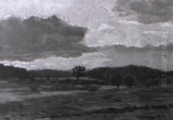 Abendsonne Uber Flacher Wiesenlandschaft Oil Painting by Arthur Wansleben