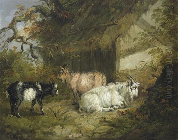 Goats By A Barn Oil Painting by James Ward