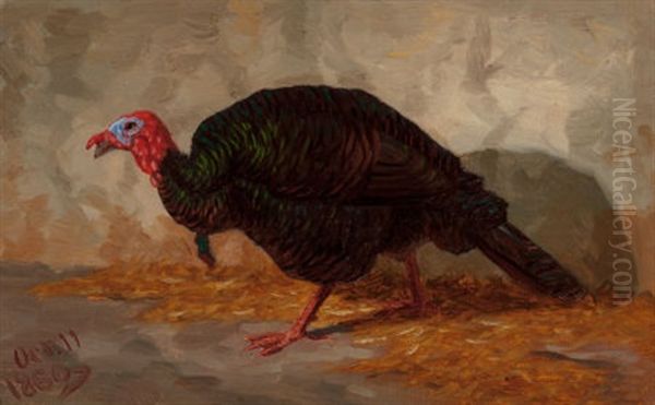 Turkey, 1860 Oil Painting by Marcus Waterman