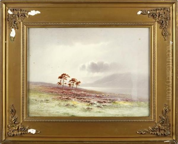 Sheep Grazing In A Misty Landscape, Lochrannoch Oil Painting by Charles Edward Snr Brittan