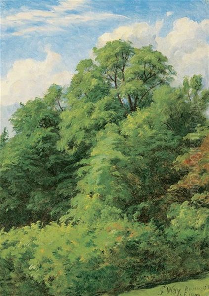 Forest Oil Painting by Charles Jones Way