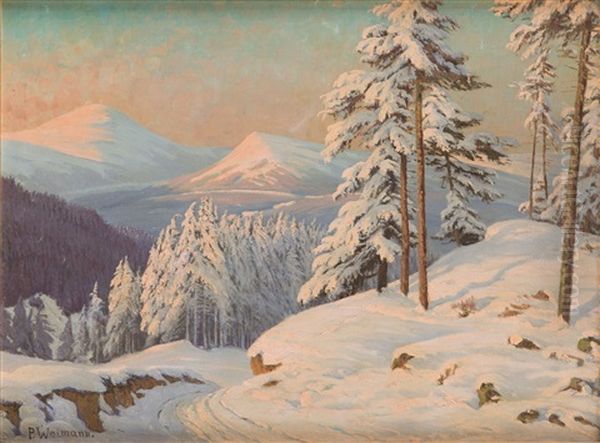 The Krkonose - Sniezka Mountian Oil Painting by Paul Weimann